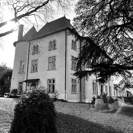 Bed And Breakfast Le Chateau De Morey Belleau Bagian luar foto
