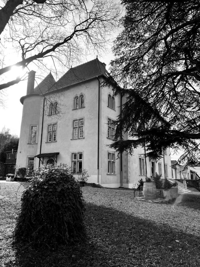 Bed And Breakfast Le Chateau De Morey Belleau Bagian luar foto