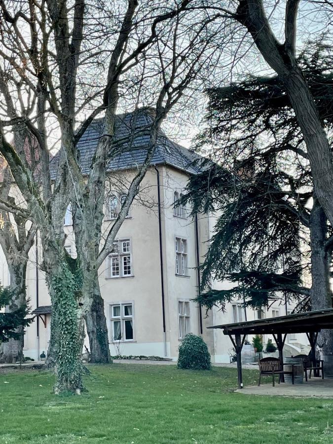 Bed And Breakfast Le Chateau De Morey Belleau Bagian luar foto